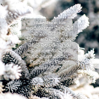 Picture 04 - 2 సమూయేలు 18:4 TELIRV - అందుకు రాజు “మీ - Bible Verse Picture
