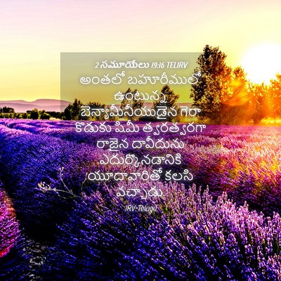 Picture 04 - 2 సమూయేలు 19:16 TELIRV - అంతలో బహూరీములో - Bible Verse Picture