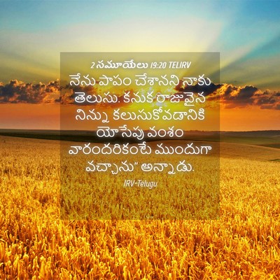 Picture 04 - 2 సమూయేలు 19:20 TELIRV - నేను పాపం చేశానని - Bible Verse Picture