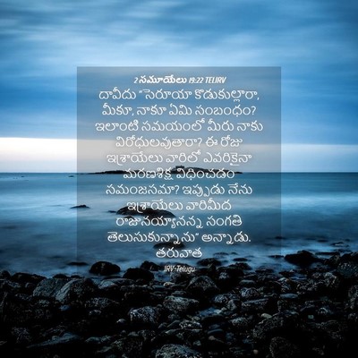 Picture 04 - 2 సమూయేలు 19:22 TELIRV - దావీదు “సెరూయా - Bible Verse Picture
