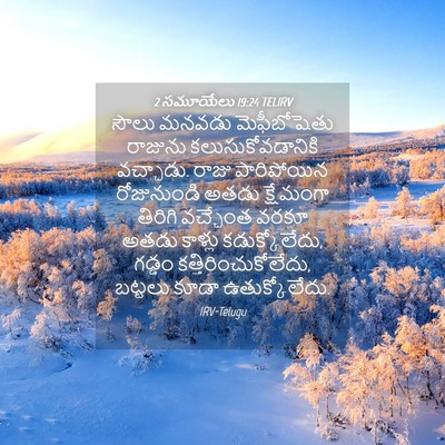 Picture 04 - 2 సమూయేలు 19:24 TELIRV - సౌలు మనవడు - Bible Verse Picture