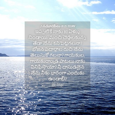 Picture 04 - 2 సమూయేలు 19:35 TELIRV - ఇప్పటికే నాకు 80 - Bible Verse Picture