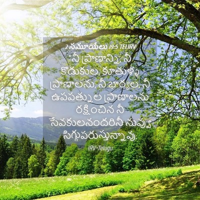 Picture 04 - 2 సమూయేలు 19:5 TELIRV - “నీ ప్రాణాన్ని, నీ - Bible Verse Picture