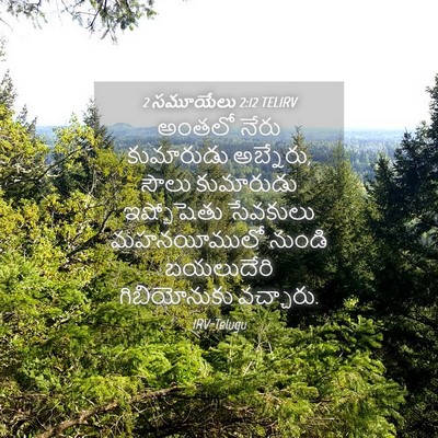 Picture 04 - 2 సమూయేలు 2:12 TELIRV - అంతలో నేరు - Bible Verse Picture
