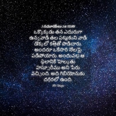 Picture 04 - 2 సమూయేలు 2:16 TELIRV - ఒక్కొక్కడు తన - Bible Verse Picture