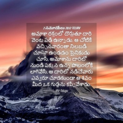 Picture 04 - 2 సమూయేలు 20:12 TELIRV - అమాశా రక్తంలో - Bible Verse Picture