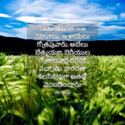Picture 04 - 2 సమూయేలు 20:14 TELIRV - యోవాబు, ఇశ్రాయేలు - Bible Verse Picture