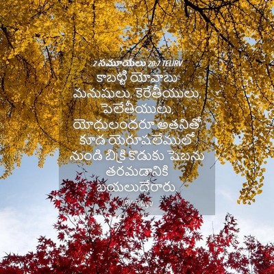 Picture 04 - 2 సమూయేలు 20:7 TELIRV - కాబట్టి యోవాబు - Bible Verse Picture