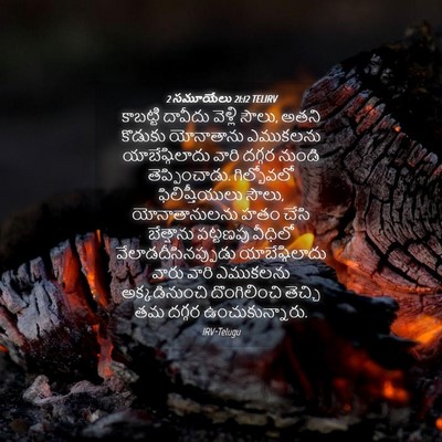 Picture 04 - 2 సమూయేలు 21:12 TELIRV - కాబట్టి దావీదు - Bible Verse Picture
