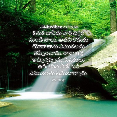 Picture 04 - 2 సమూయేలు 21:13 TELIRV - కనుక దావీదు వారి - Bible Verse Picture