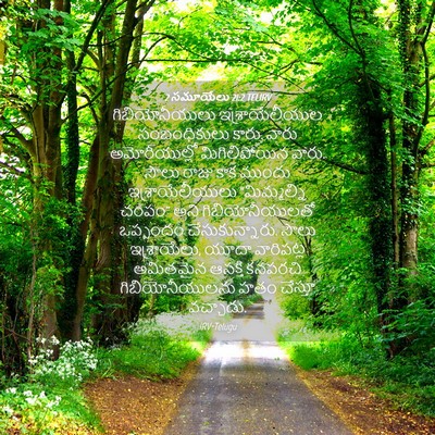 Picture 04 - 2 సమూయేలు 21:2 TELIRV - గిబియోనీయులు - Bible Verse Picture