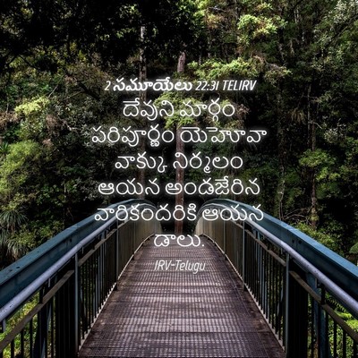 Picture 04 - 2 సమూయేలు 22:31 TELIRV - దేవుని మార్గం - Bible Verse Picture