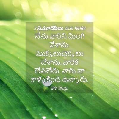 Picture 04 - 2 సమూయేలు 22:39 TELIRV - నేను వారిని మింగి - Bible Verse Picture