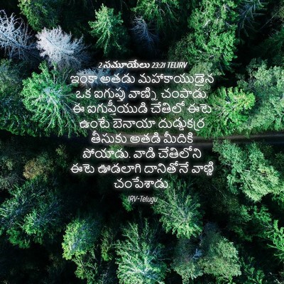 Picture 04 - 2 సమూయేలు 23:21 TELIRV - ఇంకా అతడు - Bible Verse Picture