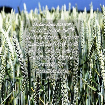 Picture 04 - 2 సమూయేలు 23:23 TELIRV - ఆ ముప్ఫై మందిలోకీ - Bible Verse Picture