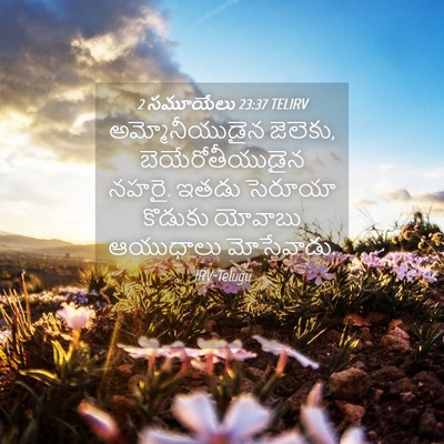 Picture 04 - 2 సమూయేలు 23:37 TELIRV - అమ్మోనీయుడైన - Bible Verse Picture