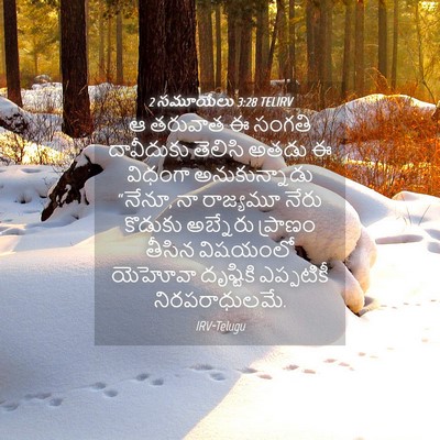 Picture 04 - 2 సమూయేలు 3:28 TELIRV - ఆ తరువాత ఈ సంగతి - Bible Verse Picture