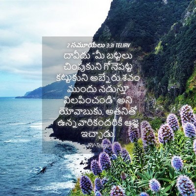 Picture 04 - 2 సమూయేలు 3:31 TELIRV - దావీదు “మీ బట్టలు - Bible Verse Picture