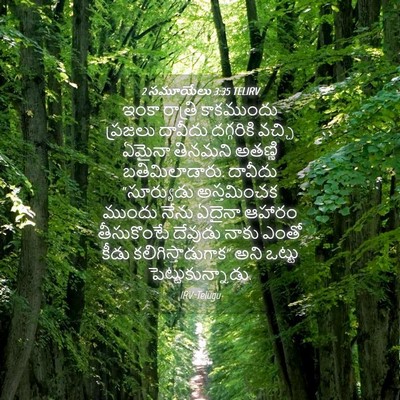 Picture 04 - 2 సమూయేలు 3:35 TELIRV - ఇంకా రాత్రి - Bible Verse Picture
