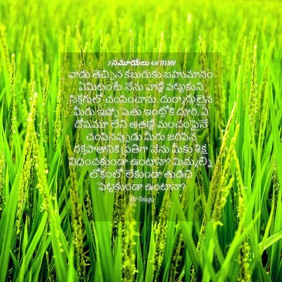 Picture 04 - 2 సమూయేలు 4:11 TELIRV - వాడు తెచ్చిన - Bible Verse Picture