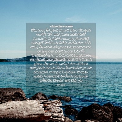 Picture 04 - 2 సమూయేలు 4:8 TELIRV - గోదుమలు - Bible Verse Picture