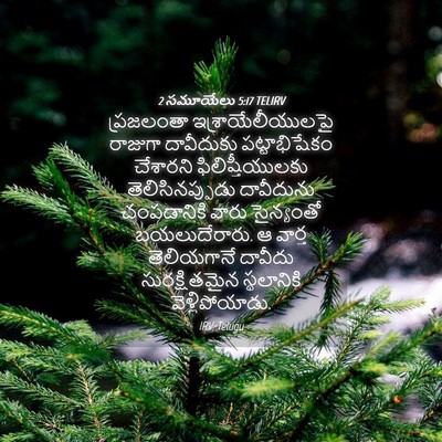Picture 04 - 2 సమూయేలు 5:17 TELIRV - ప్రజలంతా - Bible Verse Picture