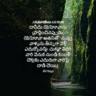 Picture 04 - 2 సమూయేలు 5:23 TELIRV - దావీదు యెహోవాను - Bible Verse Picture