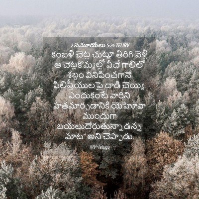 Picture 04 - 2 సమూయేలు 5:24 TELIRV - కంబళి చెట్ల - Bible Verse Picture