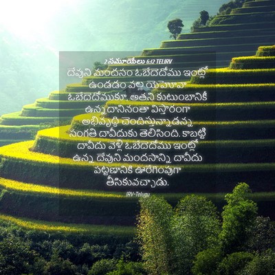 Picture 04 - 2 సమూయేలు 6:12 TELIRV - దేవుని మందసం - Bible Verse Picture