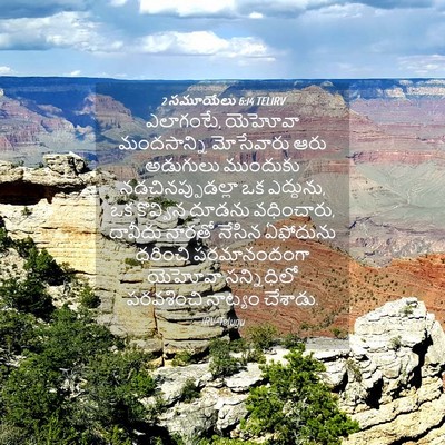 Picture 04 - 2 సమూయేలు 6:14 TELIRV - ఎలాగంటే, యెహోవా - Bible Verse Picture