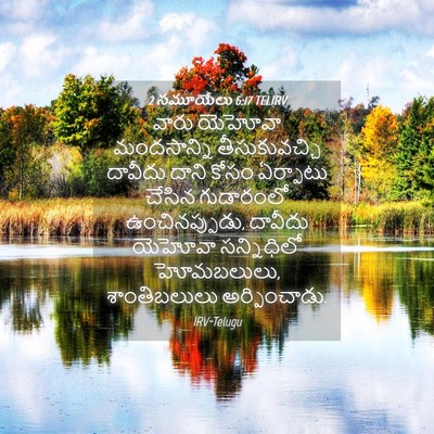 Picture 04 - 2 సమూయేలు 6:17 TELIRV - వారు యెహోవా - Bible Verse Picture