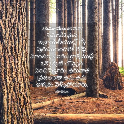 Picture 04 - 2 సమూయేలు 6:19 TELIRV - సమావేశమైన - Bible Verse Picture