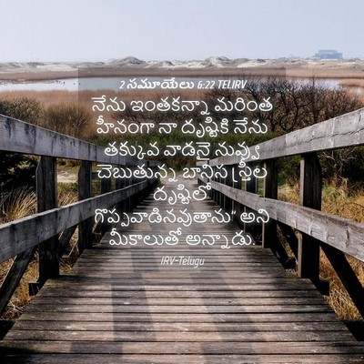 Picture 04 - 2 సమూయేలు 6:22 TELIRV - నేను ఇంతకన్నా - Bible Verse Picture