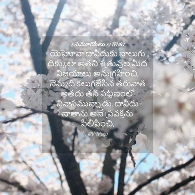 Picture 04 - 2 సమూయేలు 7:1 TELIRV - యెహోవా దావీదుకు - Bible Verse Picture