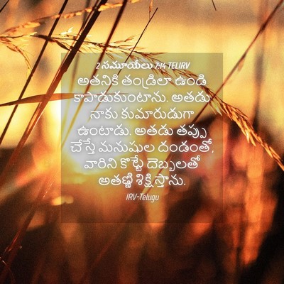 Picture 04 - 2 సమూయేలు 7:14 TELIRV - అతనికి తండ్రిలా - Bible Verse Picture