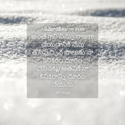 Picture 04 - 2 సమూయేలు 7:15 TELIRV - అంతే గాని నిన్ను - Bible Verse Picture
