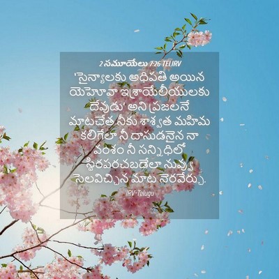 Picture 04 - 2 సమూయేలు 7:26 TELIRV - ‘సైన్యాలకు అధిపతి - Bible Verse Picture