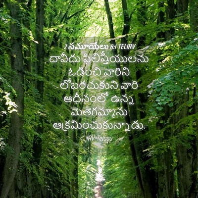 Picture 04 - 2 సమూయేలు 8:1 TELIRV - దావీదు - Bible Verse Picture