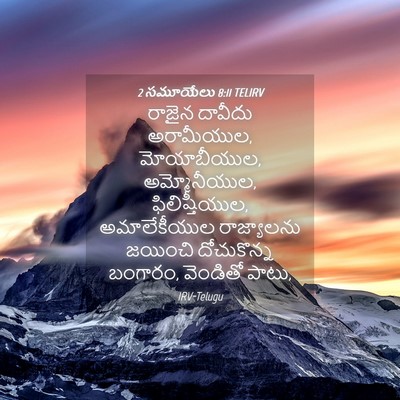 Picture 04 - 2 సమూయేలు 8:11 TELIRV - రాజైన దావీదు - Bible Verse Picture
