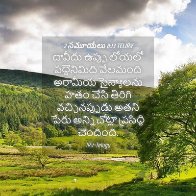 Picture 04 - 2 సమూయేలు 8:13 TELIRV - దావీదు ఉప్పు - Bible Verse Picture
