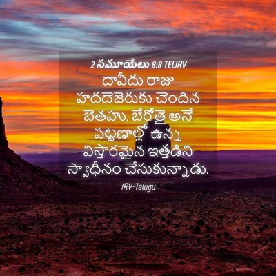 Picture 04 - 2 సమూయేలు 8:8 TELIRV - దావీదు రాజు - Bible Verse Picture