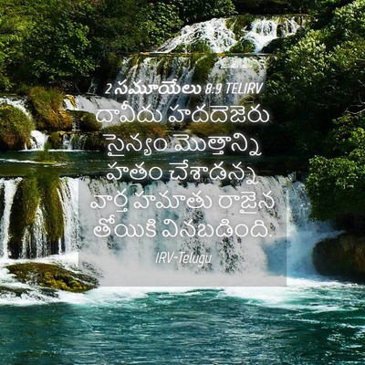 Picture 04 - 2 సమూయేలు 8:9 TELIRV - దావీదు హదదెజెరు - Bible Verse Picture