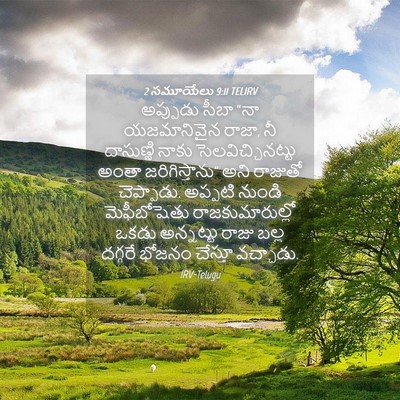 Picture 04 - 2 సమూయేలు 9:11 TELIRV - అప్పుడు సీబా “నా - Bible Verse Picture