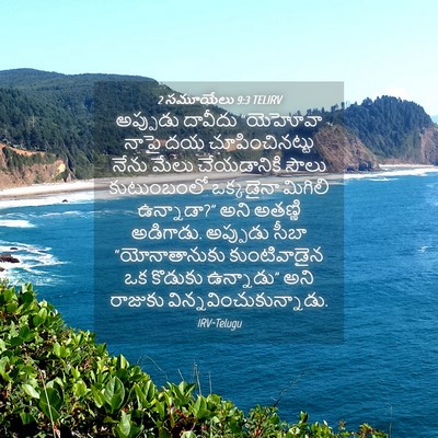 Picture 04 - 2 సమూయేలు 9:3 TELIRV - అప్పుడు దావీదు - Bible Verse Picture