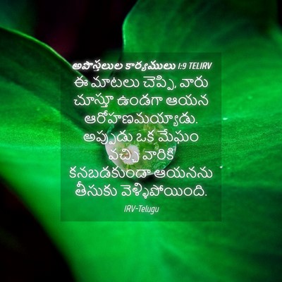 Picture 04 - అపొస్తలుల కార్యములు 1:9 TELIRV - ఈ మాటలు చెప్పి, - Bible Verse Picture