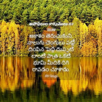 Picture 04 - అపొస్తలుల కార్యములు 10:11 TELIRV - ఆకాశం తెరుచుకుని, - Bible Verse Picture