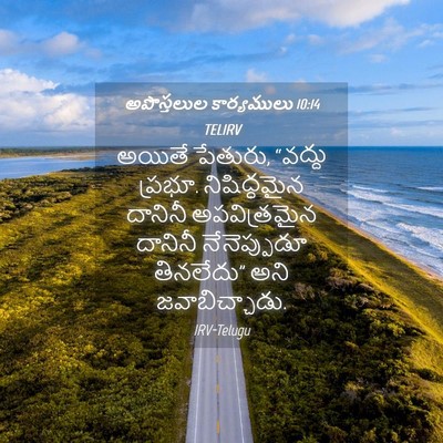 Picture 04 - అపొస్తలుల కార్యములు 10:14 TELIRV - అయితే పేతురు, - Bible Verse Picture
