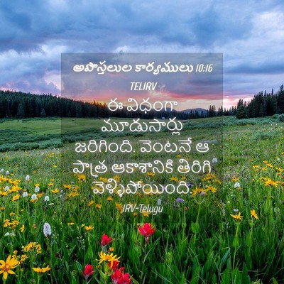 Picture 04 - అపొస్తలుల కార్యములు 10:16 TELIRV - ఈ విధంగా - Bible Verse Picture