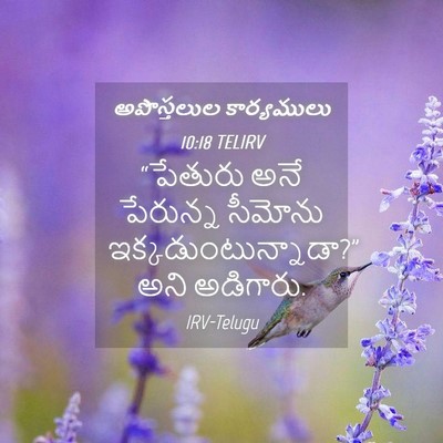 Picture 04 - అపొస్తలుల కార్యములు 10:18 TELIRV - “పేతురు అనే - Bible Verse Picture