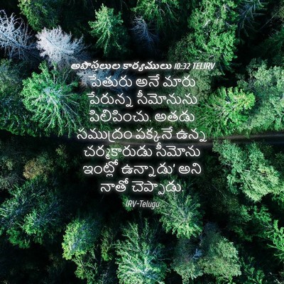Picture 04 - అపొస్తలుల కార్యములు 10:32 TELIRV - పేతురు అనే మారు - Bible Verse Picture